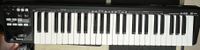 Roland A49 MIDI Keyboard/Controller Berlin - Charlottenburg Vorschau