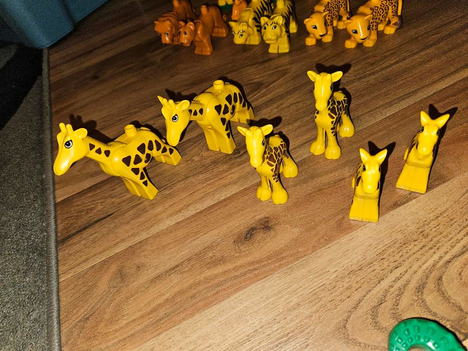 Lego Duplo Set Giraffenfamilie große, mittlere, kleine in Wollershausen