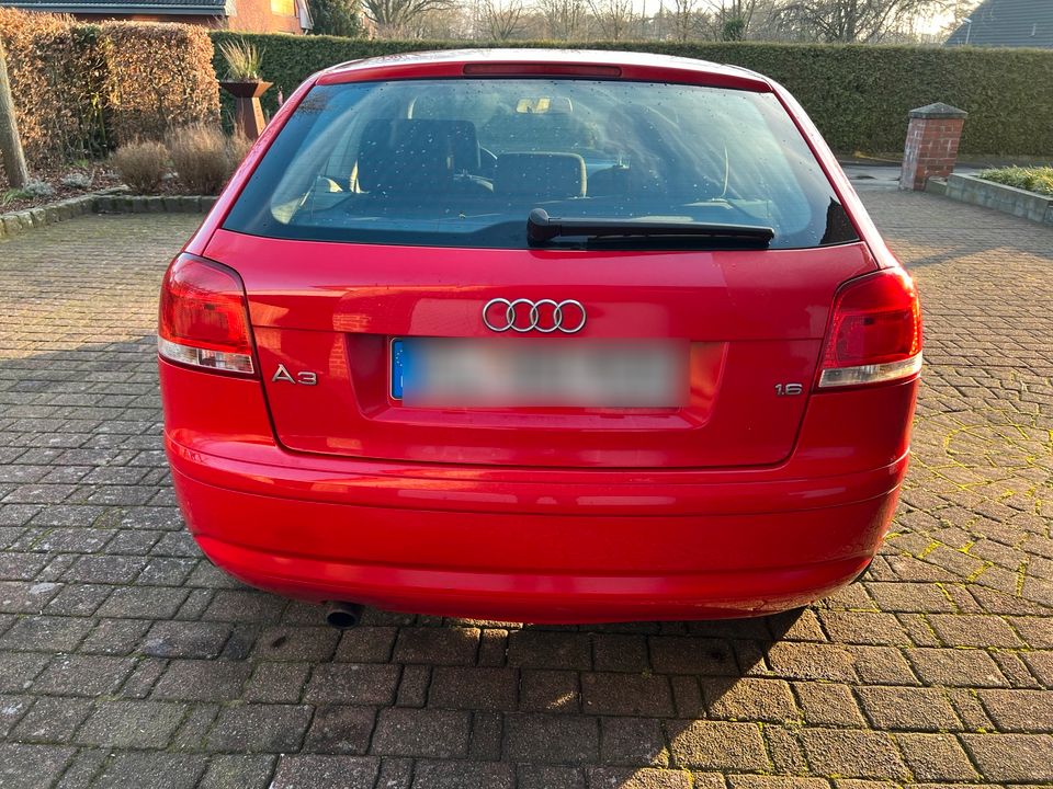 Audi A3 8p 1.6 in Emsbüren