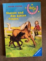 Sheltie und das kleine Fohlen Buch Bayern - Würzburg Vorschau