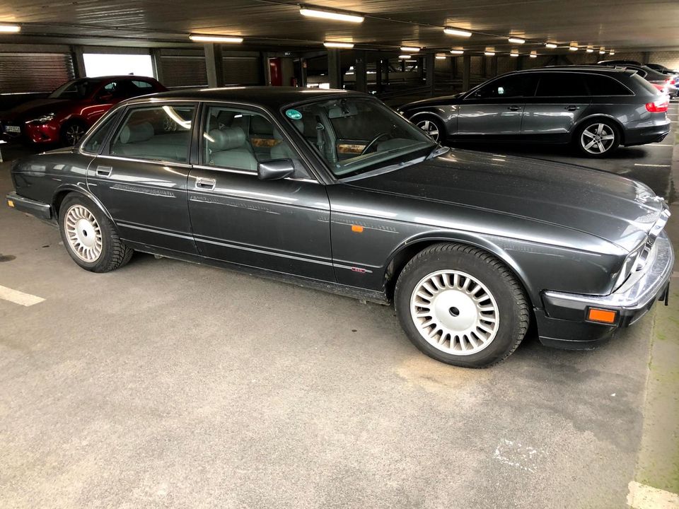 Jaguar XJ40 4.0 Sport (XJ6) in Ratingen