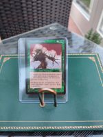 Magic the Gathering MTG Dornenelementar *NEAR MINT* PSA Ready Niedersachsen - Rhauderfehn Vorschau