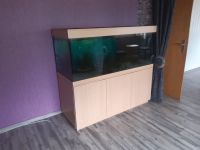 Aquarium 540L 150x60x60 der Marke Friedeberg inkl. Unterschrank Hessen - Butzbach Vorschau