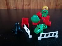 Lego Duplo Krokodil Gehege Zoo 2662 Schleswig-Holstein - Lehe Vorschau