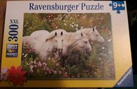 Ravensburger Puzzle XXL 300 Teile Pferde Niedersachsen - Winsen (Luhe) Vorschau