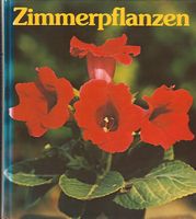 Zimmerpflanzen – Buch Bayern - Höchberg Vorschau