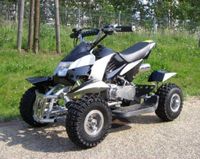 Quad Mini ATV Kinderquad Pocketquad Bike 49ccm 60km/h schwarz NEU Brandenburg - Cottbus Vorschau