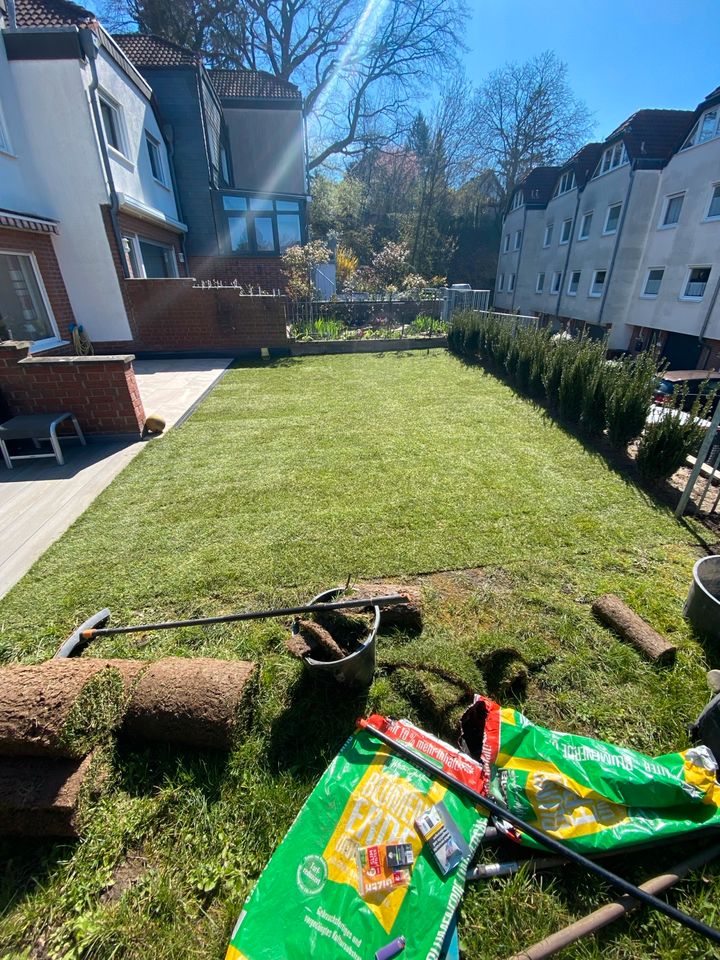 Gärtner/Hausrenovierungen/Winterdienst/Gartenhaus-Aufbau in Bünde