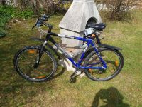 Mountainbike / Fahrrad 28 Zoll Wheeler Proride 4900 PR Bayern - Hof (Saale) Vorschau