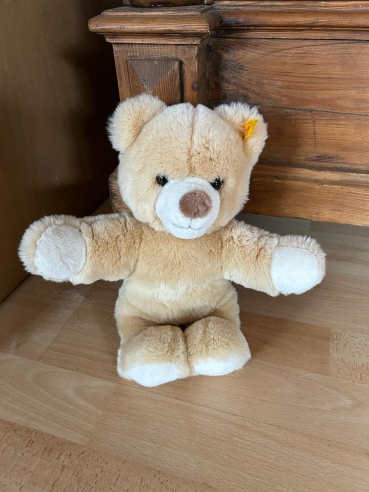 Steiff Teddybär. Sehr flauschig. Inkl. Koffer von Steiff in Zwickau