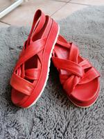 Tolle Ledersandalen Mjus, korallenrot Zehnhausen bei Rennerod - Rennerod Vorschau