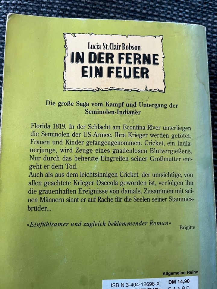 Lucia St. Clair Robson in der ferne ein Feuer in Bienenbüttel