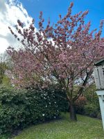 Gartenhilfe und Arbeiten rund ums Haus - flexible Arbeitszeiten Niedersachsen - Zeven Vorschau