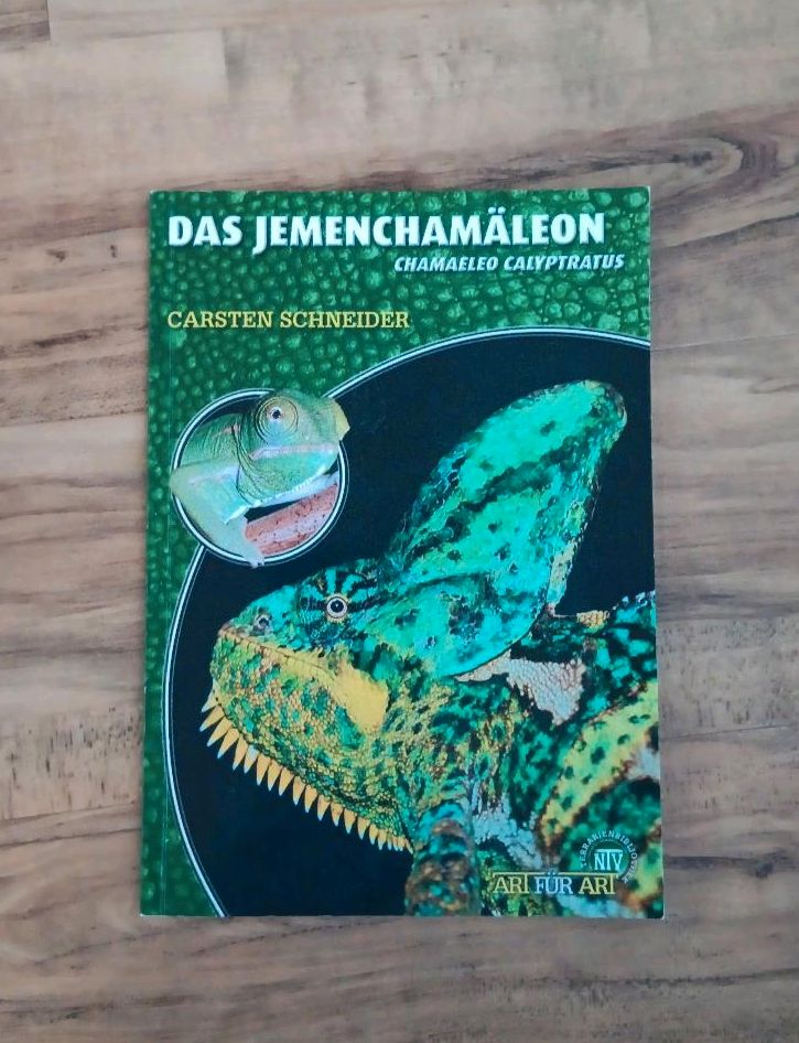 Jemenchamäleon Informations Heft in Notzingen