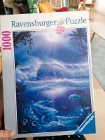 Ravensburger Puzzle 1000 Delfine Meer Neu Baden-Württemberg - Oberkirch Vorschau