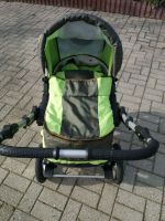 Flash Kinderwagen Buggy Pistazie olive Grün luftbereift Sachsen - Kohren-Sahlis Vorschau