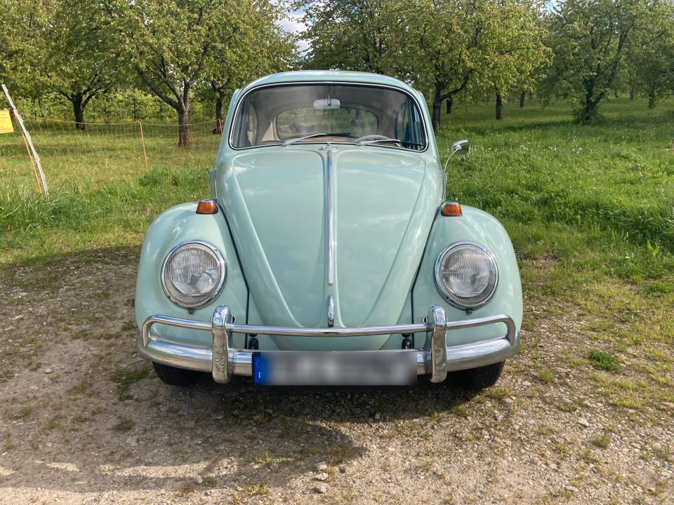 Volkswagen Käfer 1200 in Müllheim