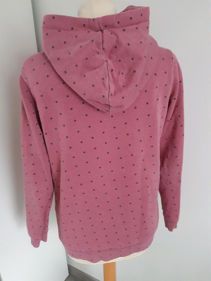 Staccato Hoodie Pulli Gr. XL / Teens 170 176 Damen Gr. S in Ebstorf