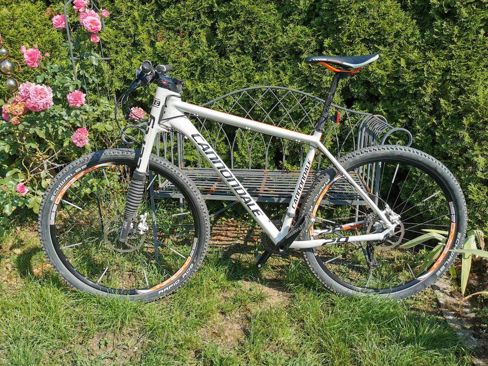 Cannondale Flash Lefty 29er XL Alloy in Würzburg