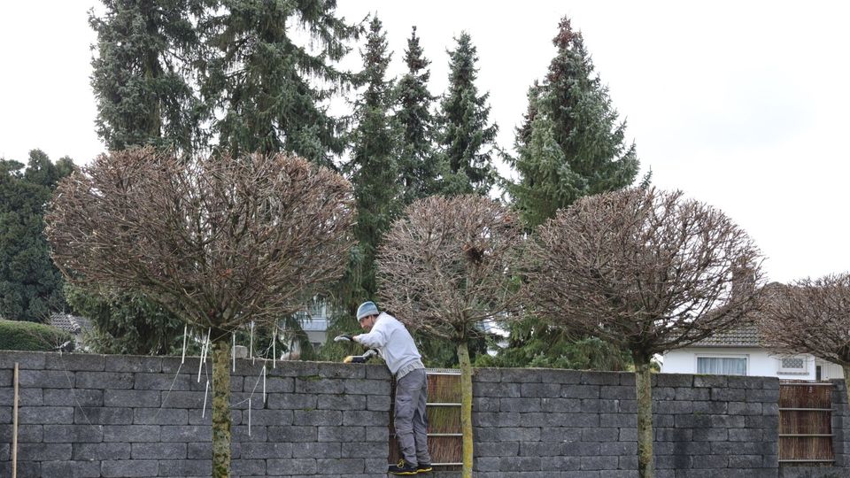 Gartenarbeit - Günstig & Sauber in Niedernhausen