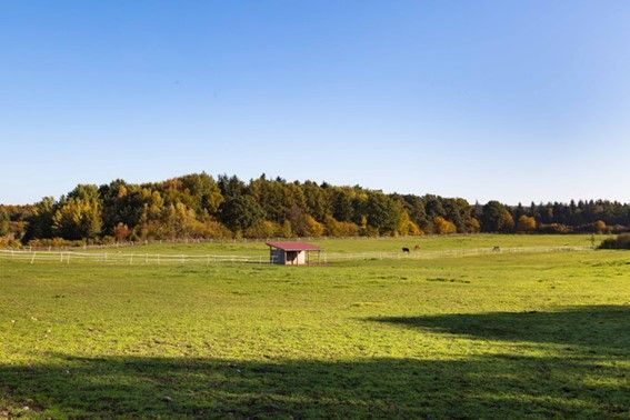 Exklusiver und großzügiger Pferdebetrieb mit Ferienwohnungen und modernisierten historischem Bauernhaus in Bösdorf