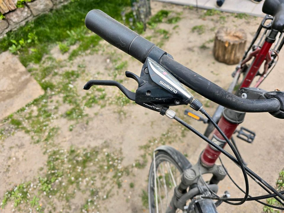 Kettler Dame Fahrrad in Speyer
