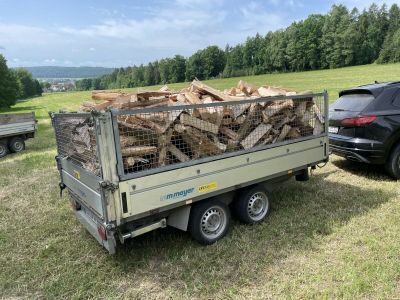 Lohnspalten mit Sägespaltautomat (Brennholz, Kaminholz, Tajfun) in Veilsdorf