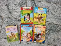 Leserabe Leselöwe 1. Klasse Erstleser Buch Pony Pferd Rheinland-Pfalz - Idar-Oberstein Vorschau