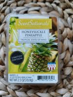 Scent Sationals Honeysuckle Pineapple Niedersachsen - Haste Vorschau