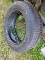 Michelin Cross Climate 195/ 55R16 Schleswig-Holstein - Henstedt-Ulzburg Vorschau