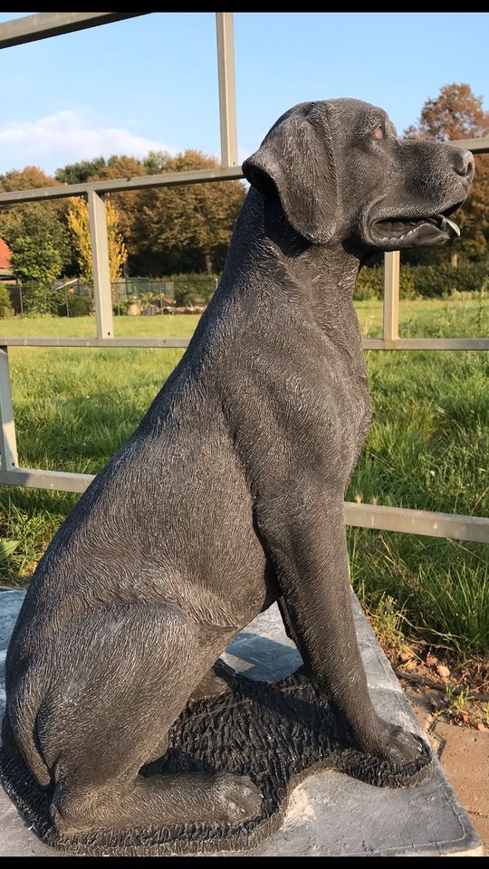 Labrador Retriever 80cm 90kg Lebensgroß Steinguss Labbi Lab Hund in Karlsruhe