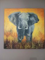 Bild, Elefant auf Leinwand ca 70x70 cm Niedersachsen - Goldenstedt Vorschau