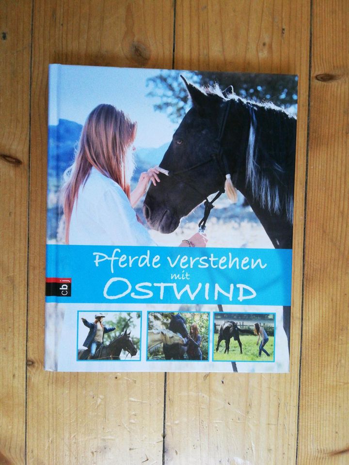 Ostwind Pferdebuch Reiten in Radebeul