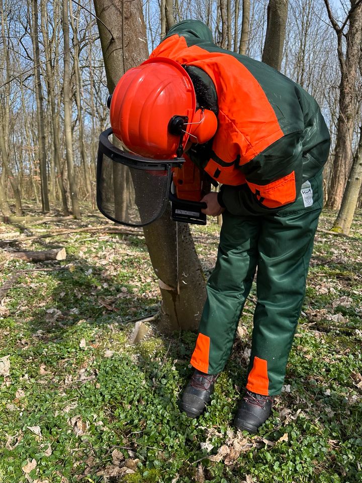 Motorsägenkurse, Brennholzkurs, Kettensägenschein, Baumkontrolle in Boitzenburger Land