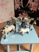 Schleich~ 6 teiliges Hengstset~ Wow Rheinland-Pfalz - Bann Vorschau