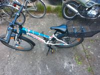 24 Zoll Kinderfahrrad Sachsen-Anhalt - Jessen (Elster) Vorschau