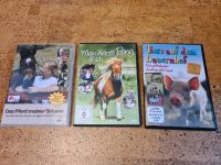 DVD Pferd Pony Bauernhof für Kinder Nordrhein-Westfalen - Remscheid Vorschau