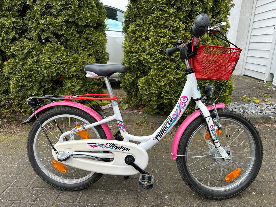 Mädchen Fahrrad Pinniped 20 Zoll im guten Zustand in Rietberg