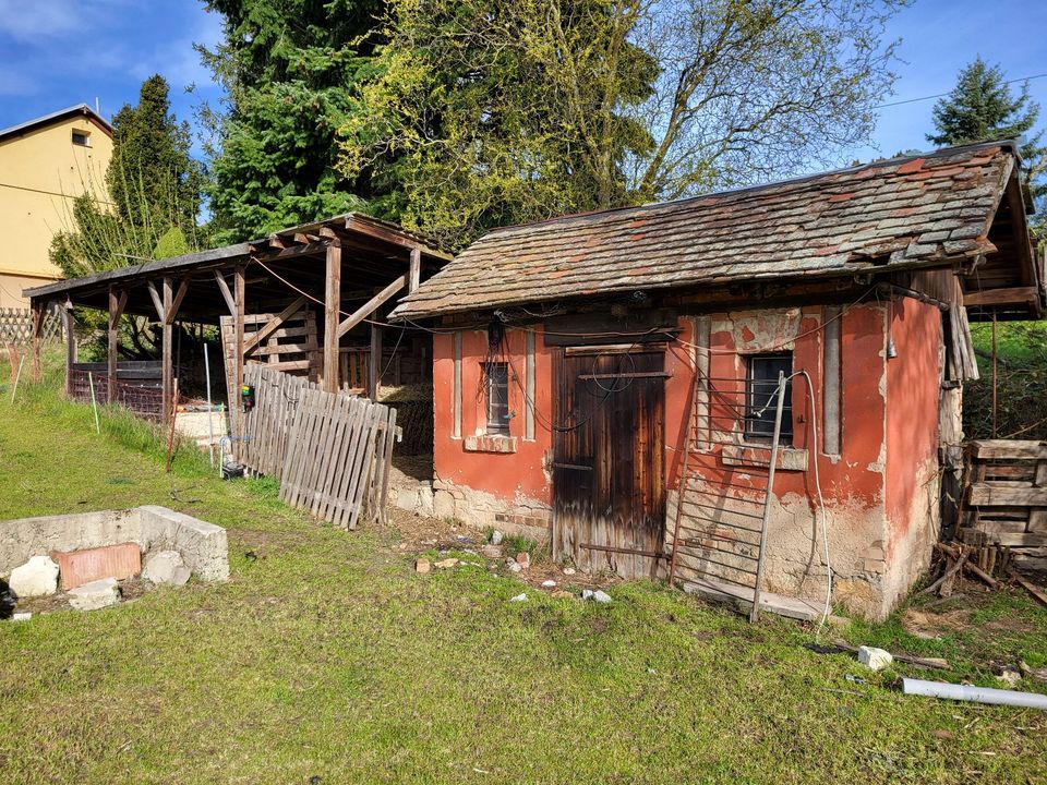 Traumhaftes Gartengrundstück in Dornburg (Saale) in Dornburg