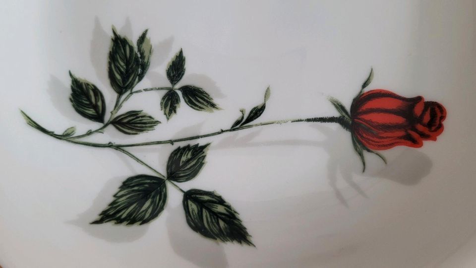 Porzellangeschirr mit Rosenmuster in Braunlage