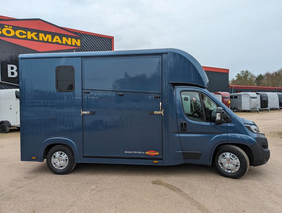 Böckmann Pferde LKW Fiat Ducato Maxi Compact Stall Neufahrzeug in Bützow