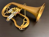 CarolBrass Legend Flügelhorn, CFL-7200-GSS, Horn, NEU!!! München - Au-Haidhausen Vorschau