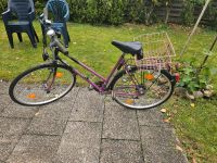 Damen Fahrrad 28 zoll Bayern - Eitting Vorschau