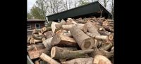 Brennholz zu verkaufen Niedersachsen - Aurich Vorschau