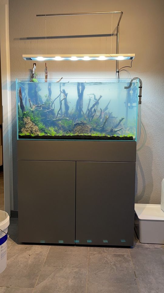 90P Aquarium Set | Aquascape Set 180l in Hümmel