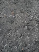 Erde Mutterboden Füllboden Aushub Niedersachsen - Salzgitter Vorschau