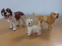 Schleich Hunde Bernhardiner, Golden Labrador, Terrier Nordrhein-Westfalen - Troisdorf Vorschau