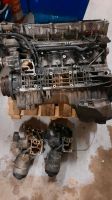 BMW 325 525 M52B25 256S14 Motor Doppelvanos defekt Hessen - Morschen Vorschau