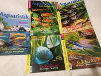 Aquaristik Zeitschrift Guppy Diskusfische Buntbarsch u.a. Niedersachsen - Brackel Vorschau
