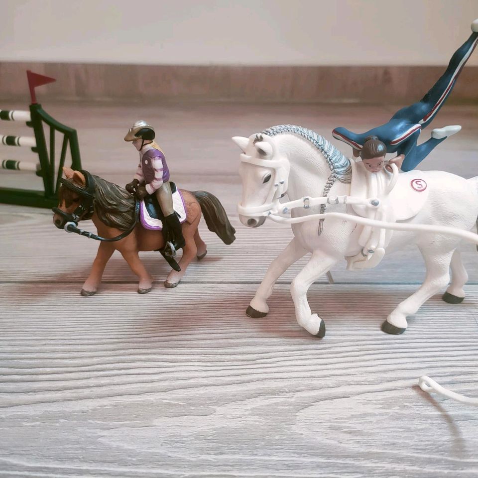 Schleich Reitschule 42389 in Trebbin